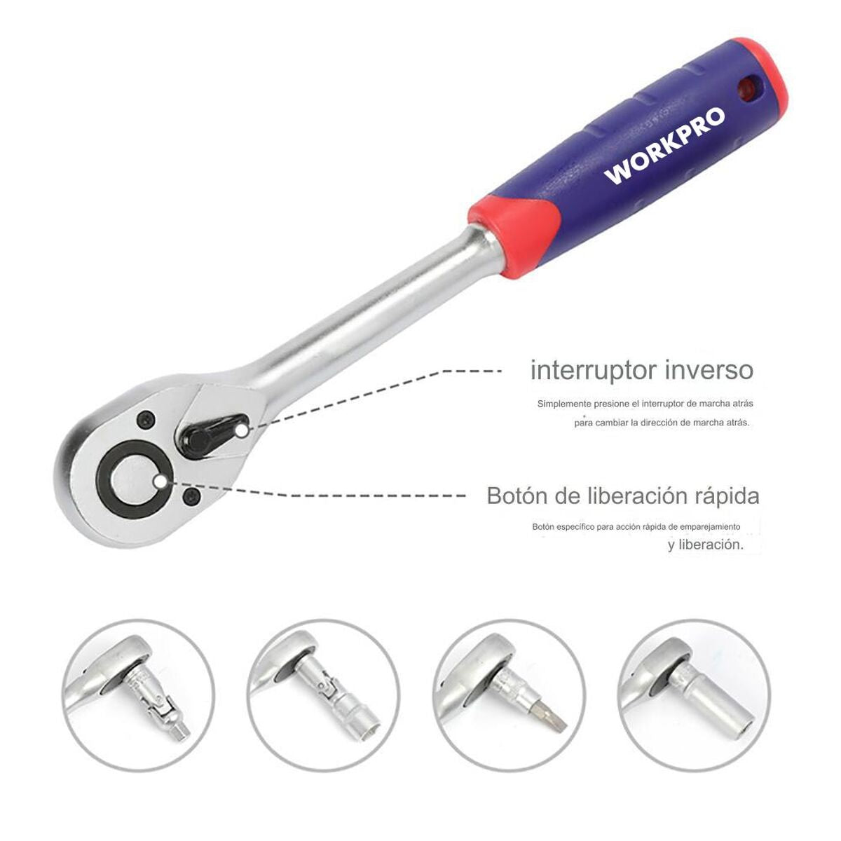 V1H1026932D97C2F92C68509D595CB2D448RP5