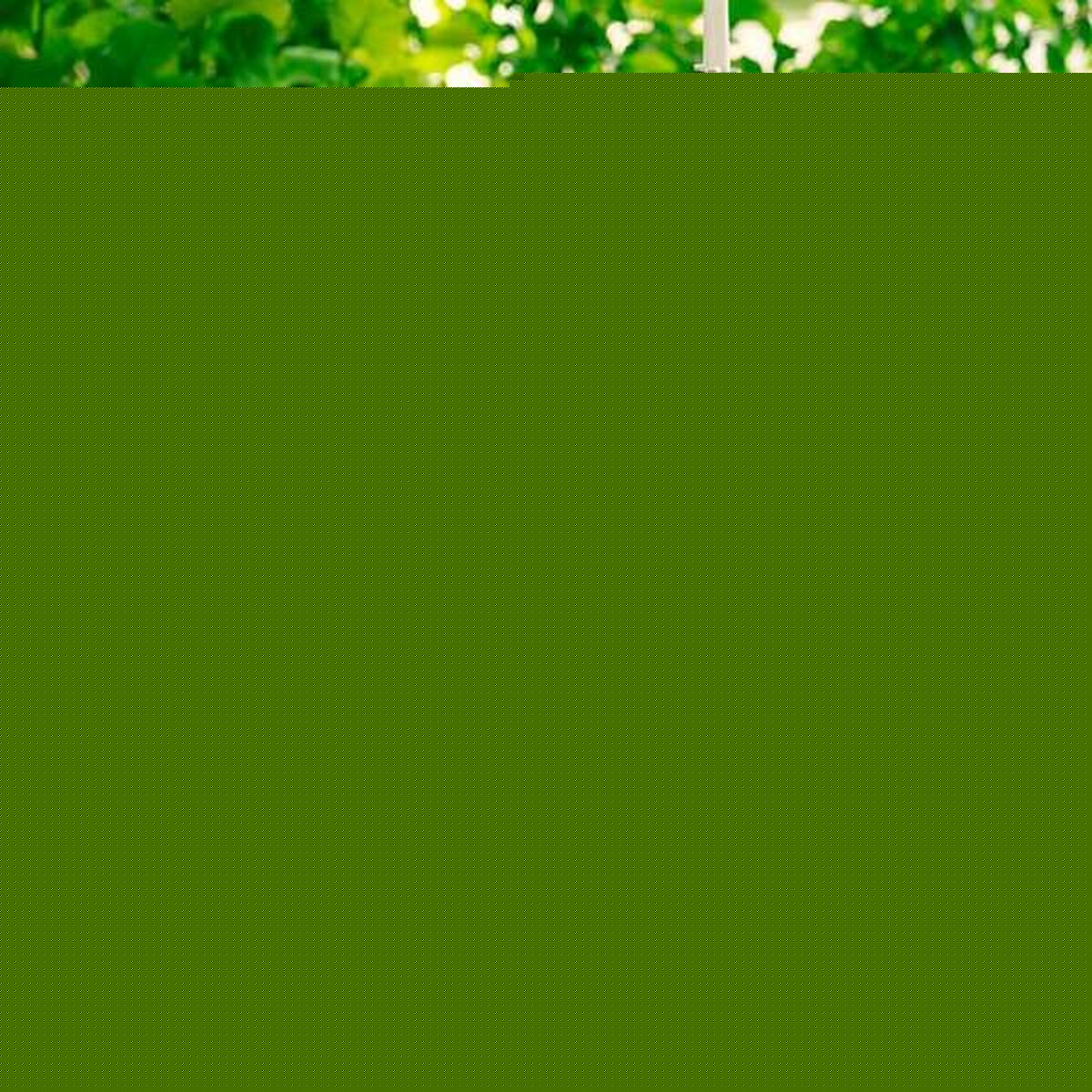 V4HAA7C119449C5882CF99928E729C7246BR5698216P3