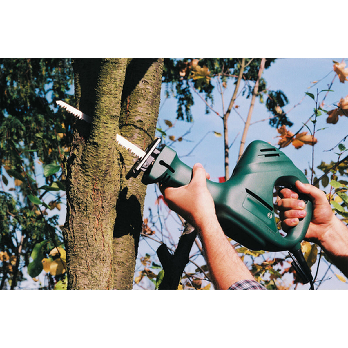 V6H8325B65347537898442166FAAC2AE307R3395052P2