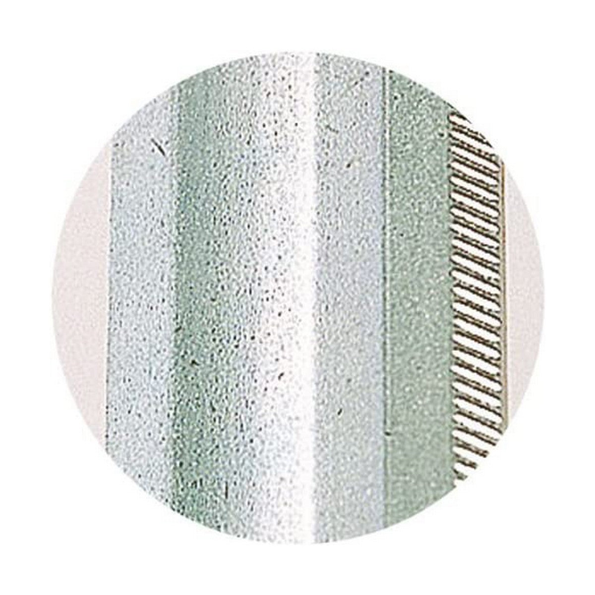 V7H4DBDC72E63DB4A44425AE6EA4C06022CR1811566P4