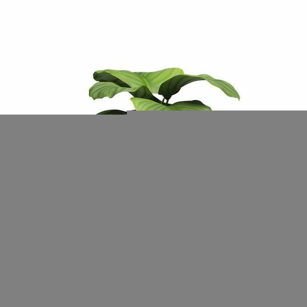 V4HDCEDFDA61EF04E087A0CB2D599895CAER5315816P2