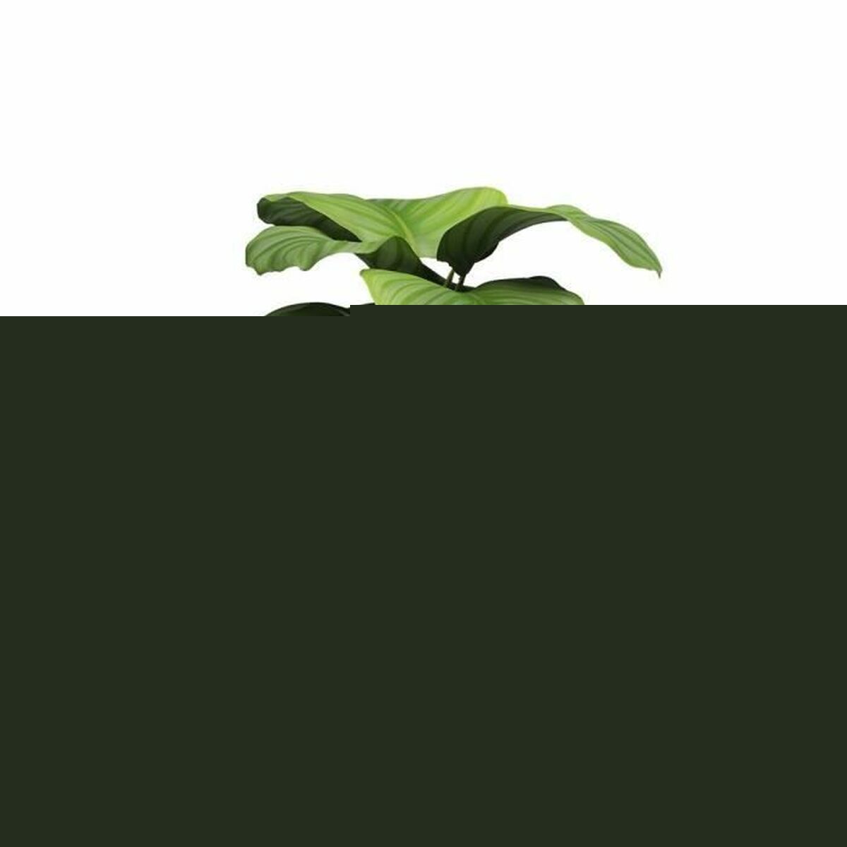 V4HDCEDFDA61EF04E087A0CB2D599895CAER5315816P2