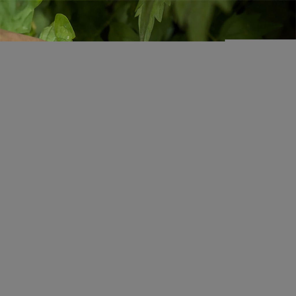 V2H70F77E1B05D1F7D0F376AACDA3BA5AF6R6801479P4