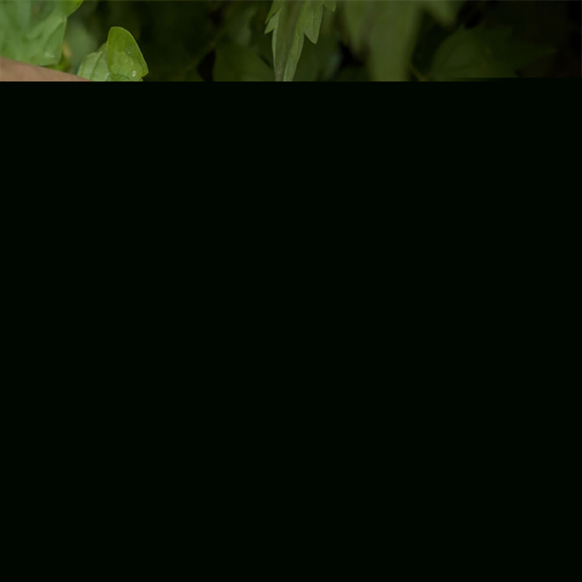 V2H70F77E1B05D1F7D0F376AACDA3BA5AF6R6801479P4