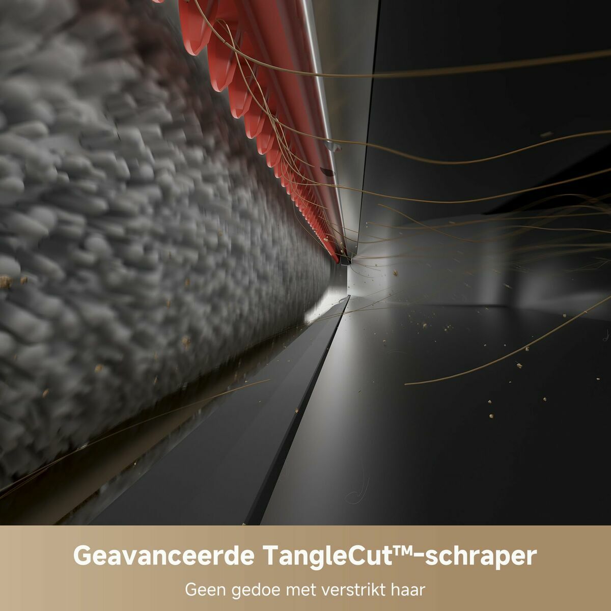 V1HD5B05B252456C75B6CE11440A6F313CCRP9