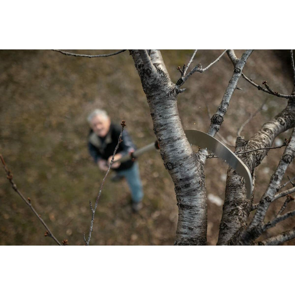 V8H59A8B3F3CB0513BA8FC1959C3FEE9C65R3447926P2