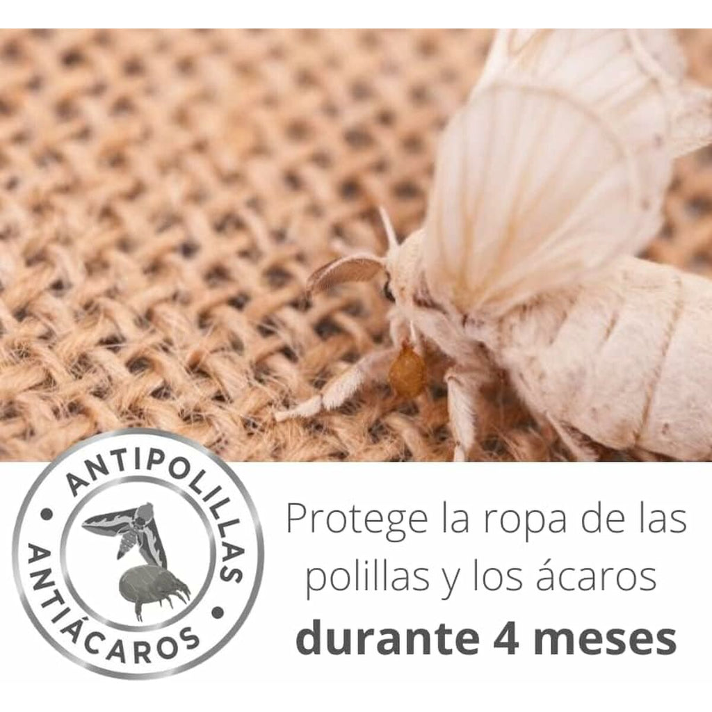 V3H8D17FC42AC7397E97AE0AE4FA94E733CR5816120P6