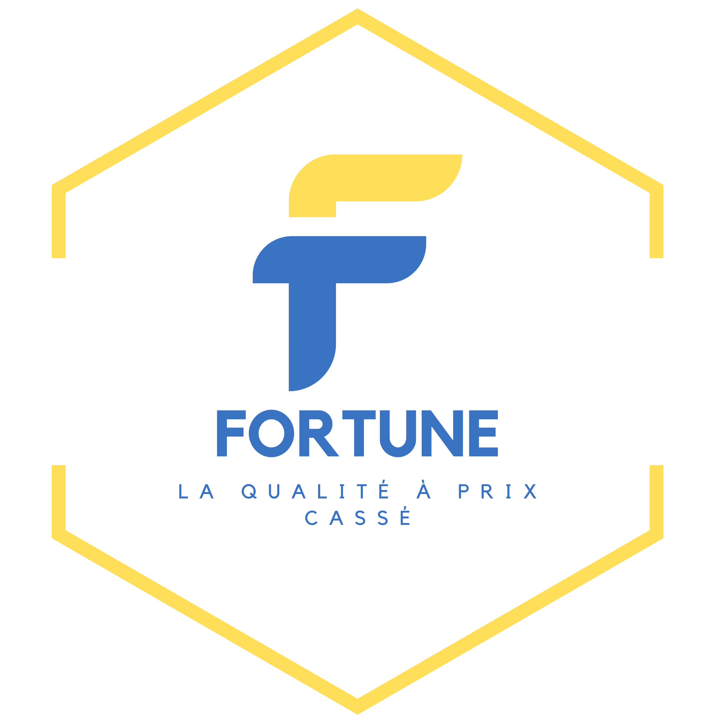Fortune France